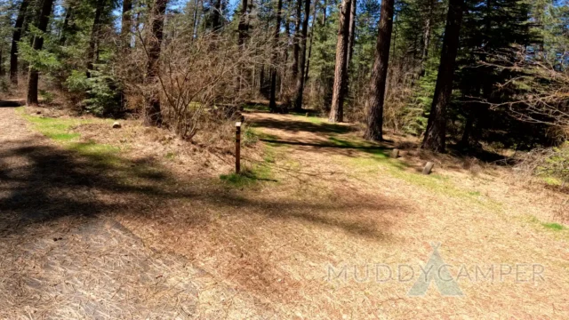 a dirt path in a forest