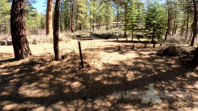 a picnic table in a forest