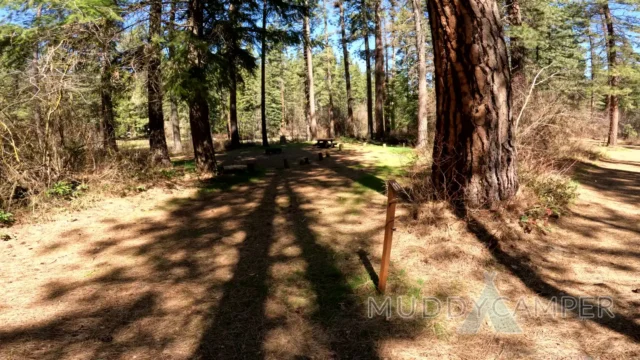 a picnic area in the woods