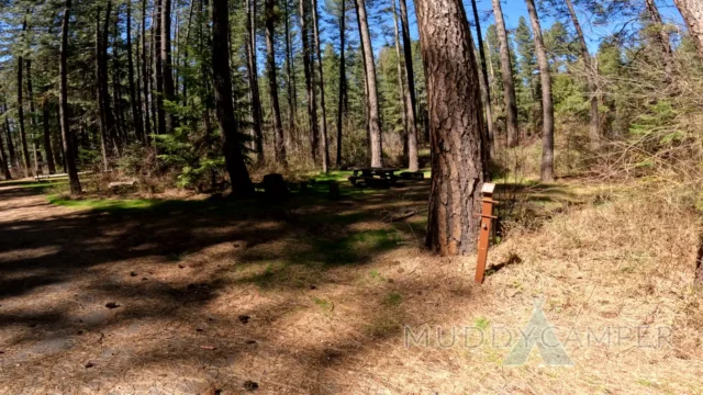 a picnic table in a forest