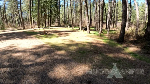 a grassy area with trees in the background