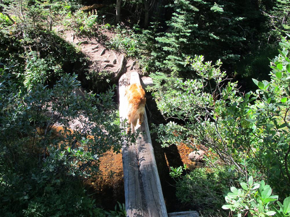 elk-meadows-hike (24)