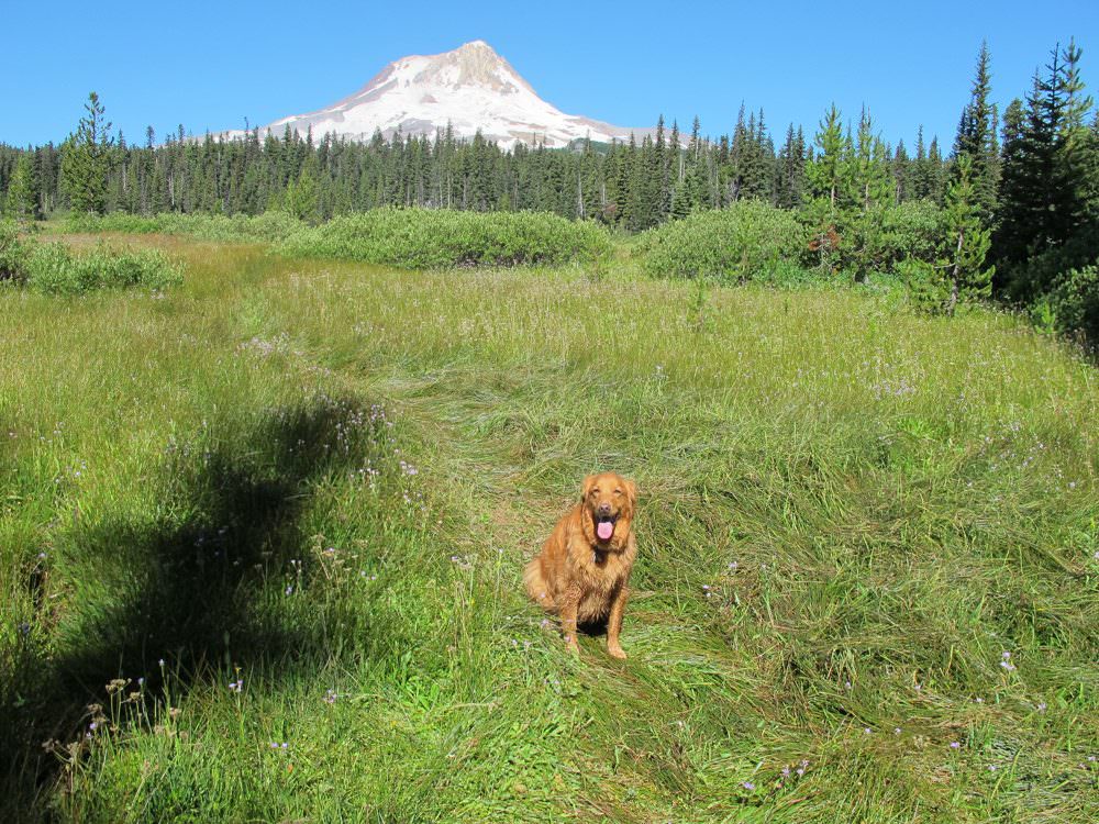 elk-meadows-hike (7)