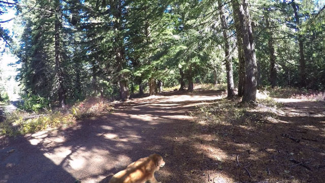 Meadow Creek Indian Camp Sign Campground