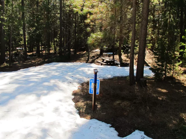Snow covering a campsite in Deschutes National Forest