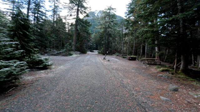 Road through Cougar Rock Campground Mt. Rainer