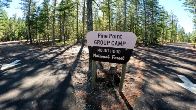 Pine Point Group Campground sign in a forested area
