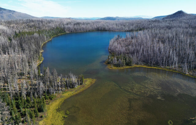 Breitenbush Lake surrounded by burned trees.